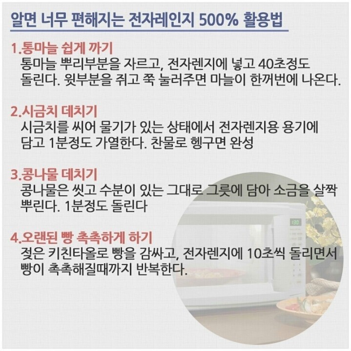 전자레인지500프로01.jpg