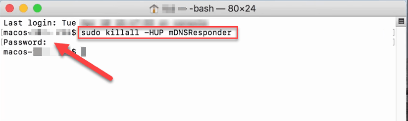 how-dns-works-flush-macos2.png